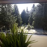 Apartman Apartma David Rogla Zreče