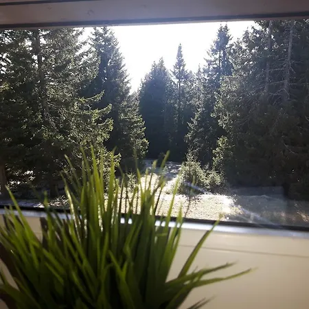 アパート Apartma David Rogla Zreče