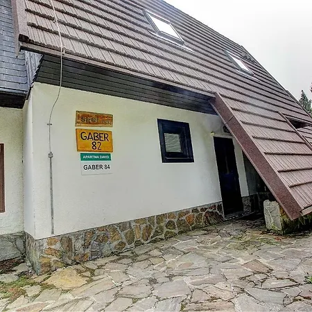 Apartma David Rogla アパート *