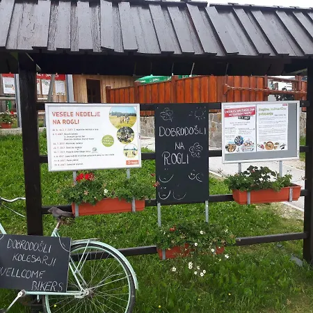 Apartma David Rogla Zrece