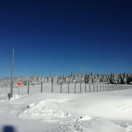 Apartma David Rogla Daire *