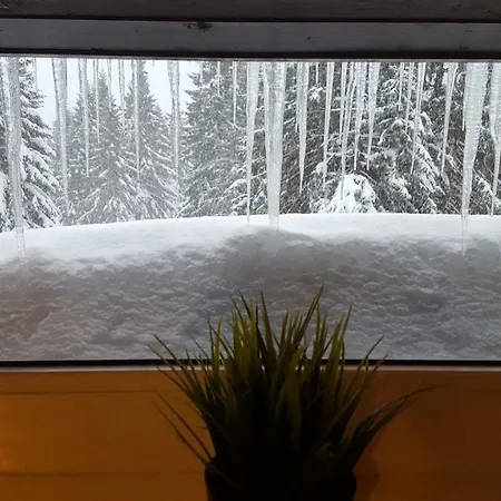 アパート Apartma David Rogla Zreče