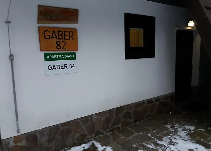 Daire Apartma David Rogla Zreče