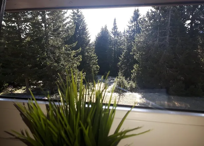 Daire Apartma David Rogla Zreče