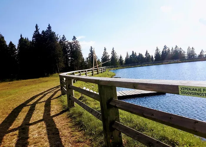 Apartma David Rogla Daire