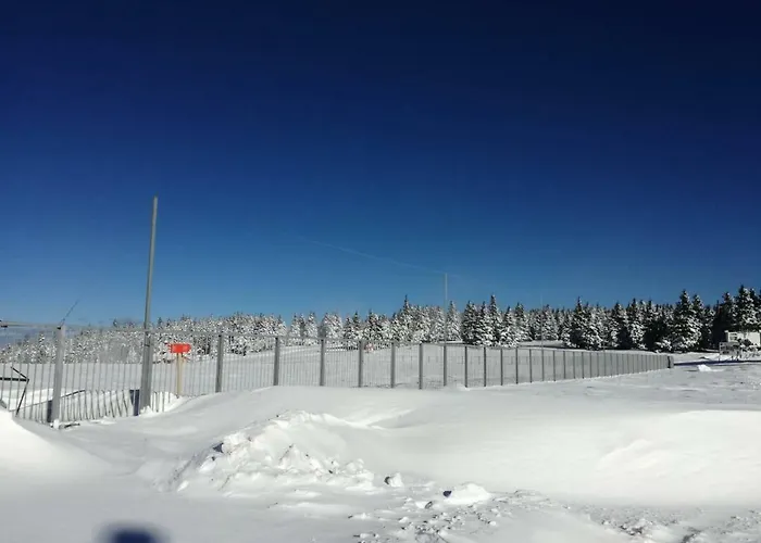 Apartma David Rogla דירה *