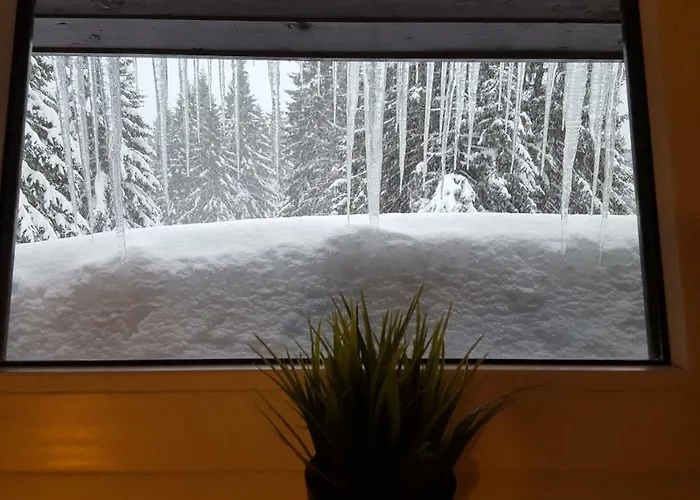 Daire Apartma David Rogla Zreče