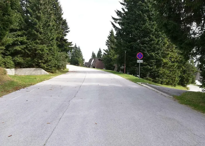 Apartma David Rogla Daire *